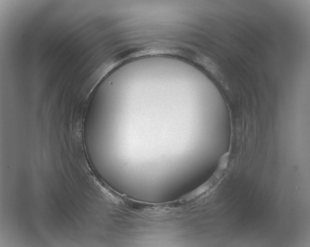 X0000062151185200512231524
