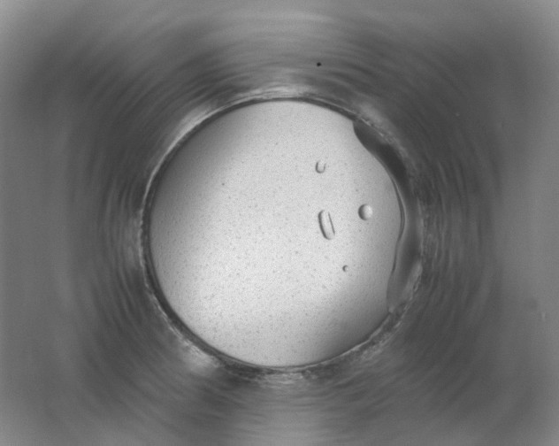 X0000062151186200512231524