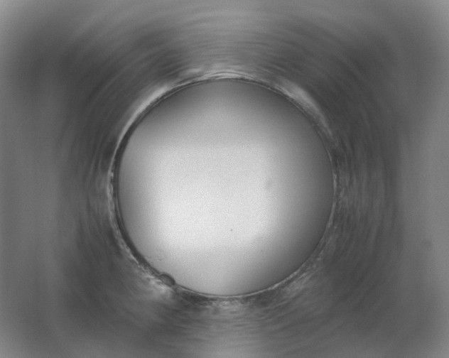 X0000062151190200512231524