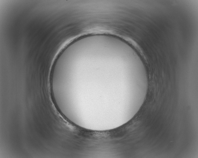 X0000062151191200512231524