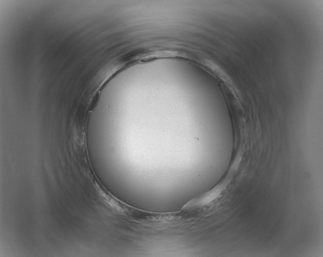 X0000062151193200512231524