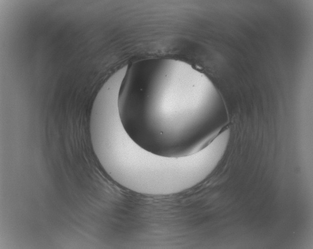 X0000062151202200512231523
