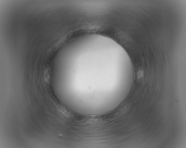 X0000062151204200512231523