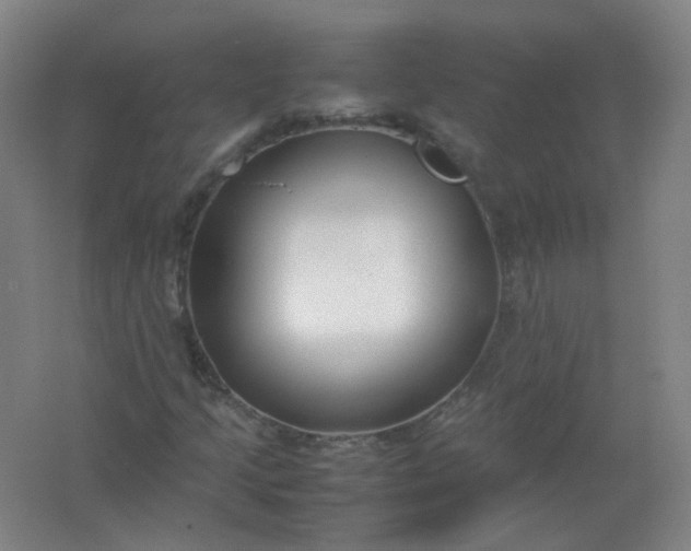 X0000062151205200512231523