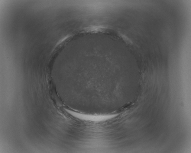 X0000062151206200512231523