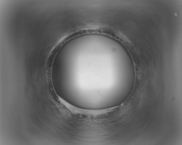 X0000062151208200512231523