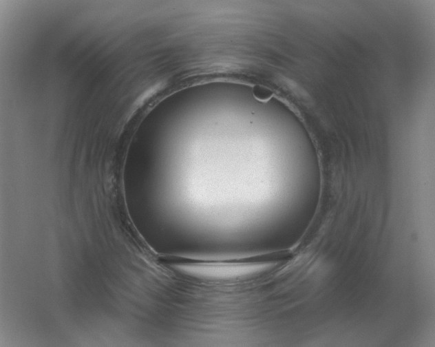 X0000062151210200512231523