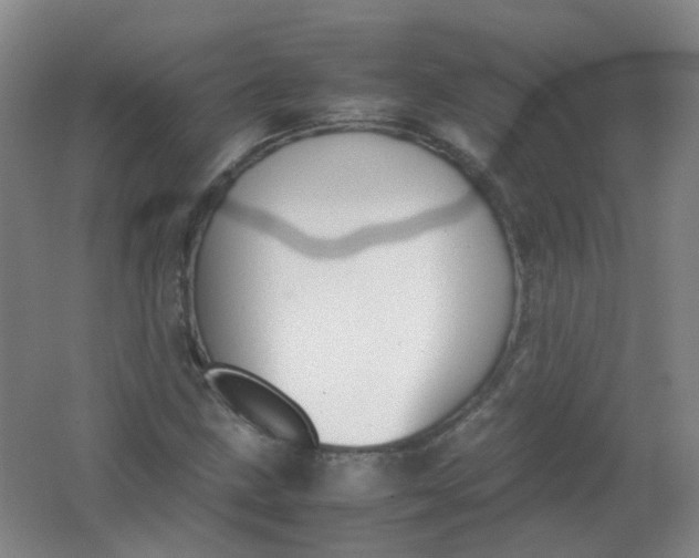 X0000062151211200512231523