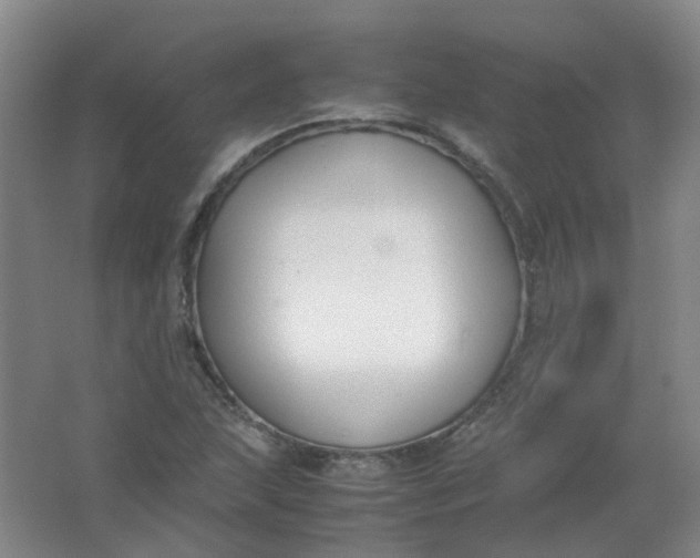 X0000062151215200512231523