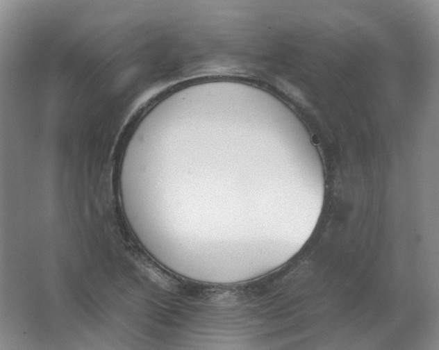 X0000062151222200512231523