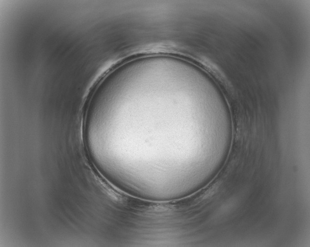 X0000062151224200512231523