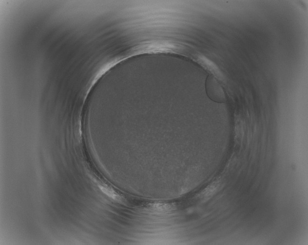 X0000062151226200512231523