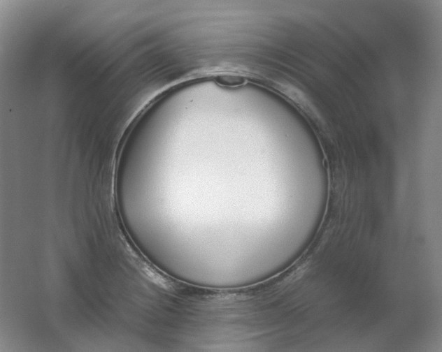 X0000062151228200512231523