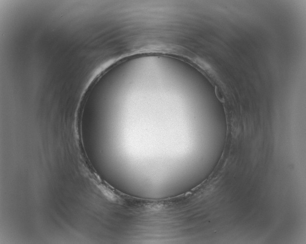 X0000062151230200512231523