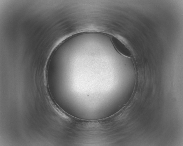 X0000062151238200512231523