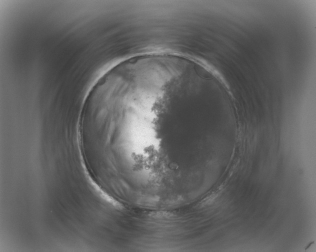 X0000062151239200512231523