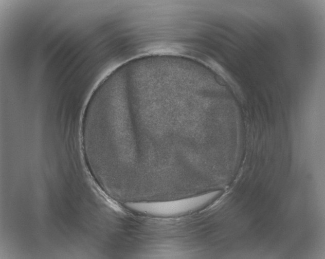X0000062151240200512231524