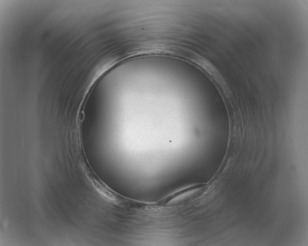 X0000062151242200512231524