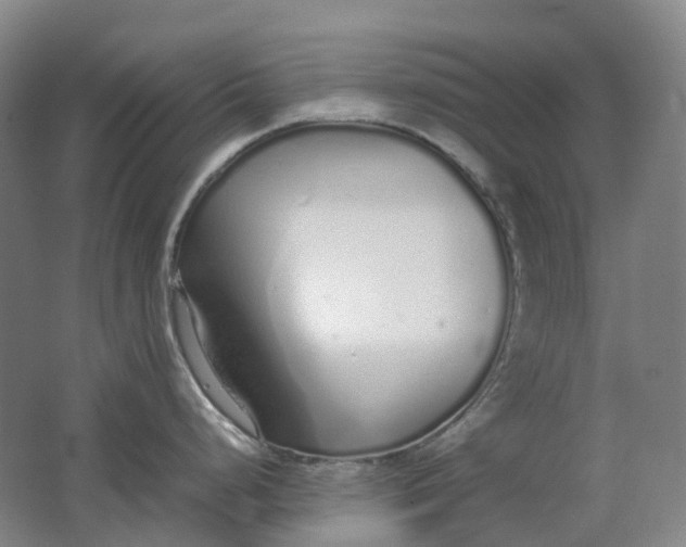 X0000062151248200512231524