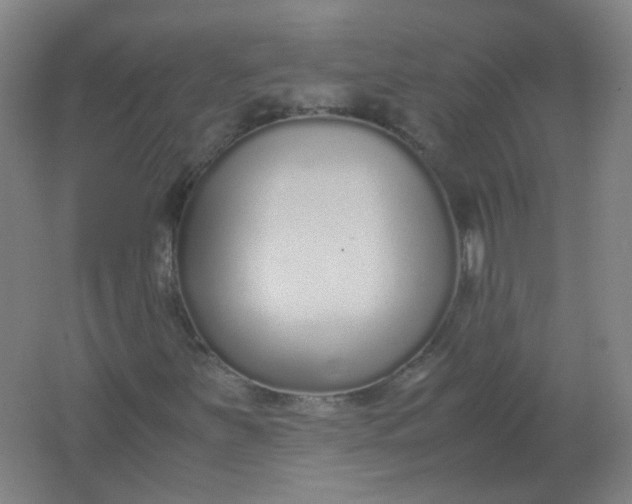 X0000062151251200512231523