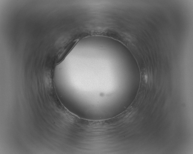 X0000062151252200512231523