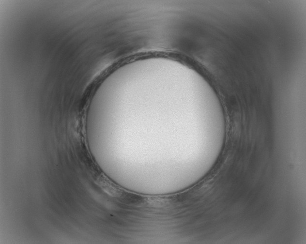 X0000062151258200512231523
