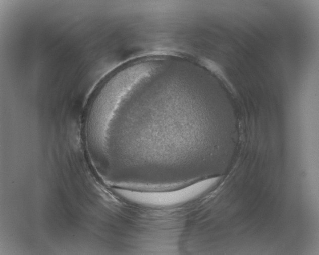 X0000062151260200512231522