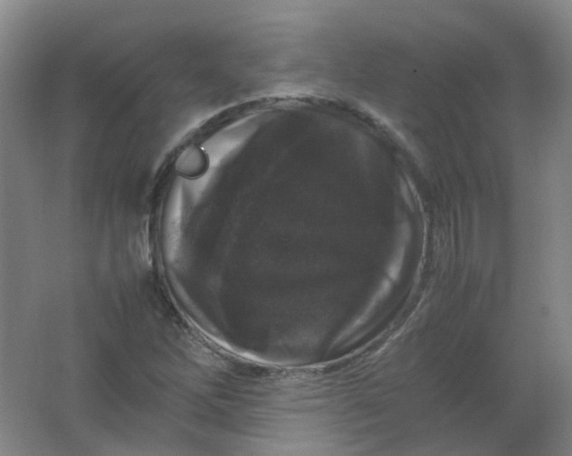 X0000062151262200512231522