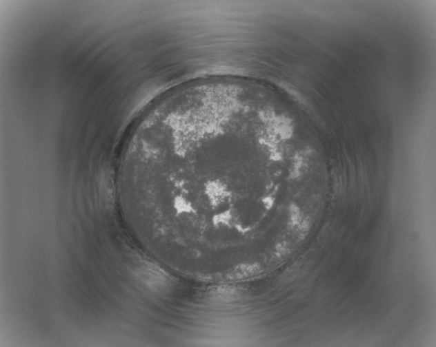 X0000062151266200512231522