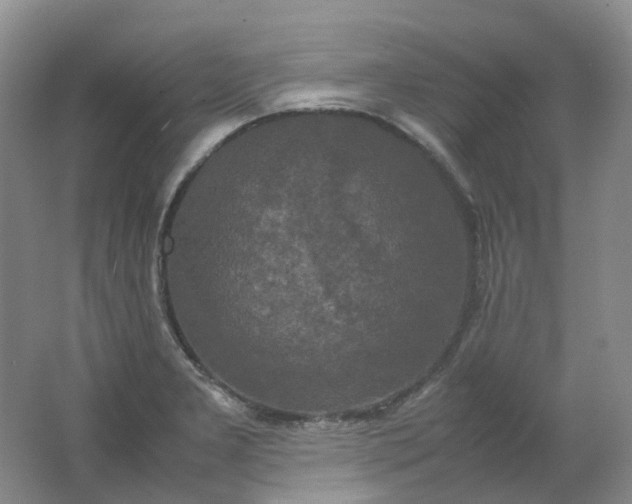 X0000062151277200512231522