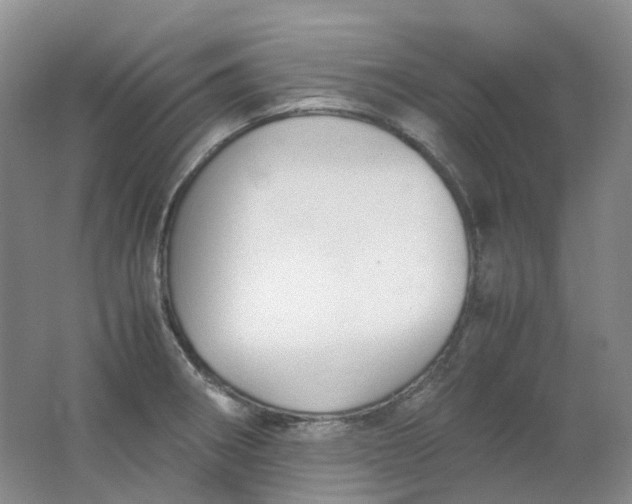 X0000062151282200512231522