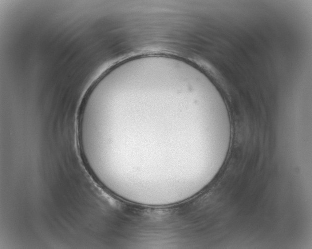 X0000062151286200512231522