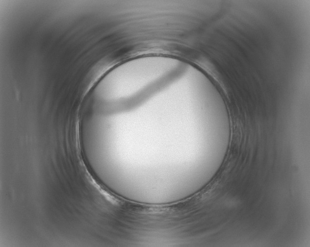 X0000062151290200512231522