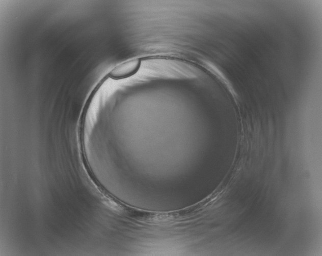 X0000062151291200512231522