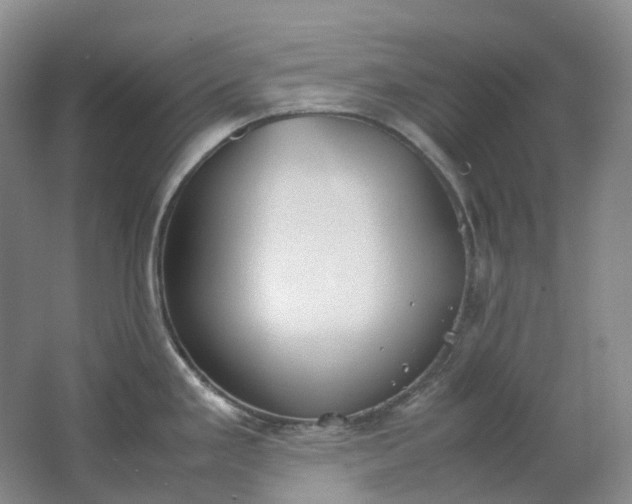 X0000062151293200512231522
