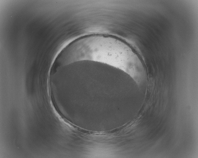 X0000062151295200512231522