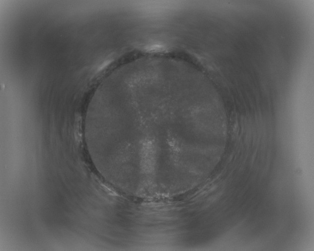 X0000062151301200512231521