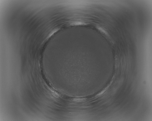 X0000062151305200512231521
