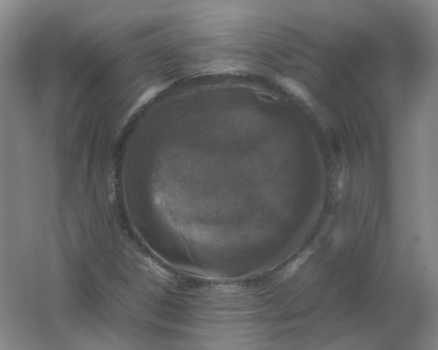 X0000062151306200512231521