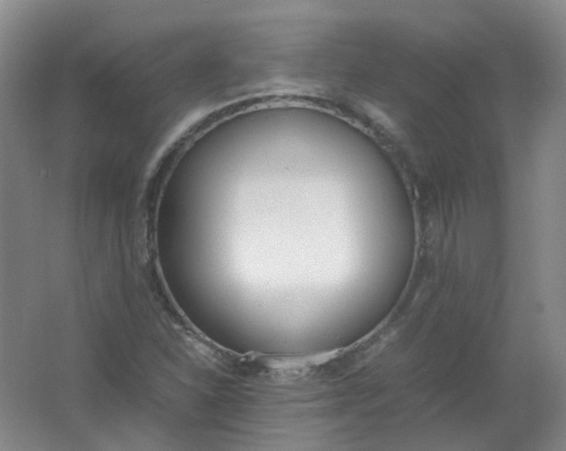 X0000062151310200512231521