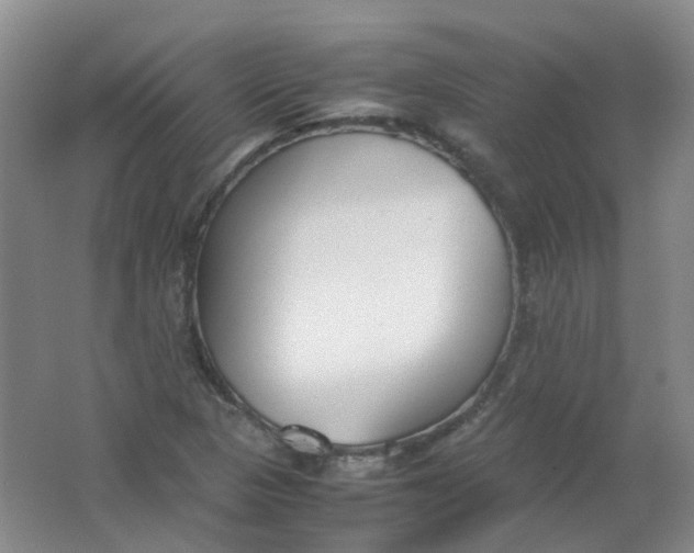 X0000062151313200512231521