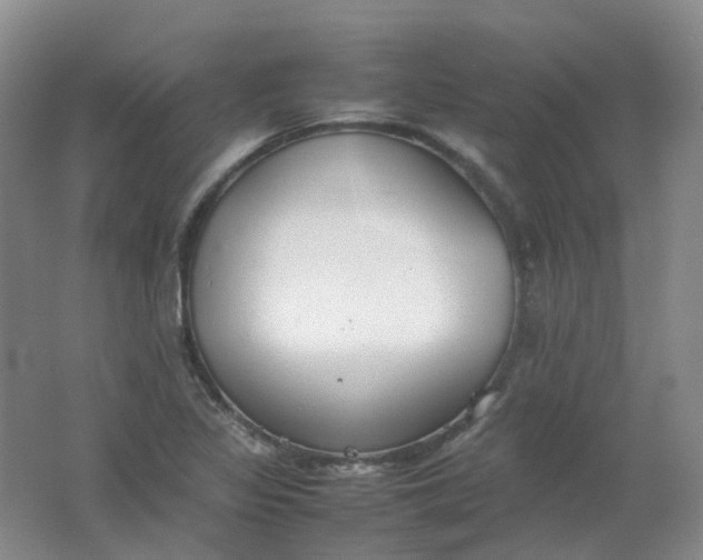 X0000062151317200512231521