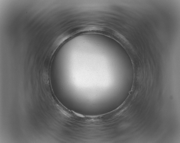 X0000062151321200512231521