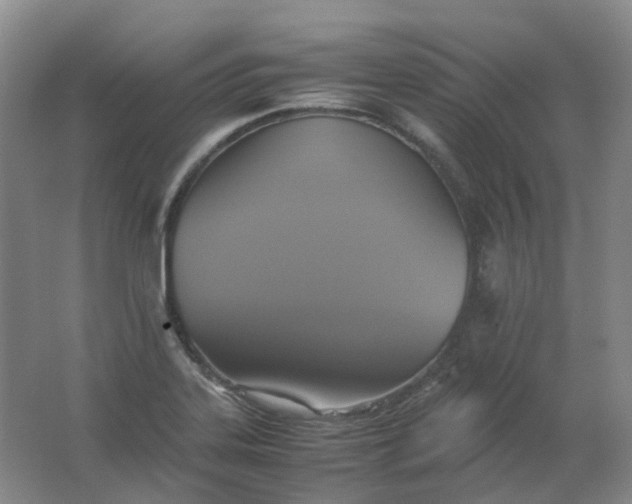 X0000062151323200512231521