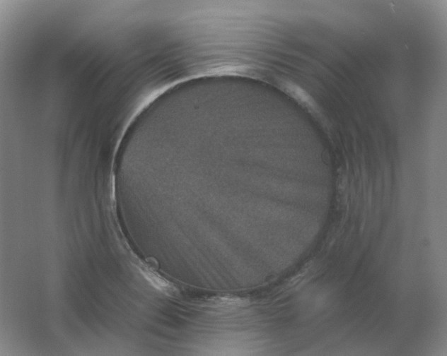 X0000062151324200512231521