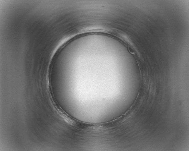 X0000062151328200512231521