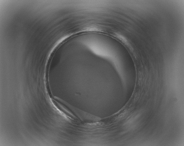 X0000062151331200512231521