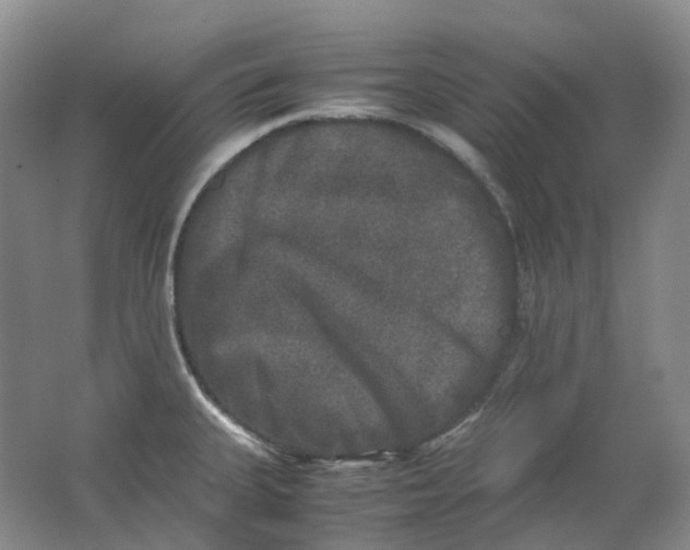 X0000062151335200512231522