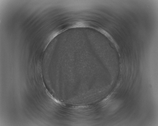 X0000062151337200512231522