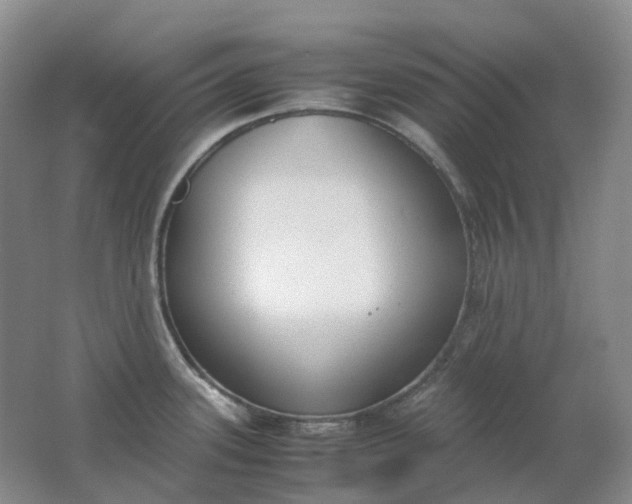 X0000062151339200512231522